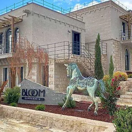 Cappadocia Bloom 4* 네브셰히르